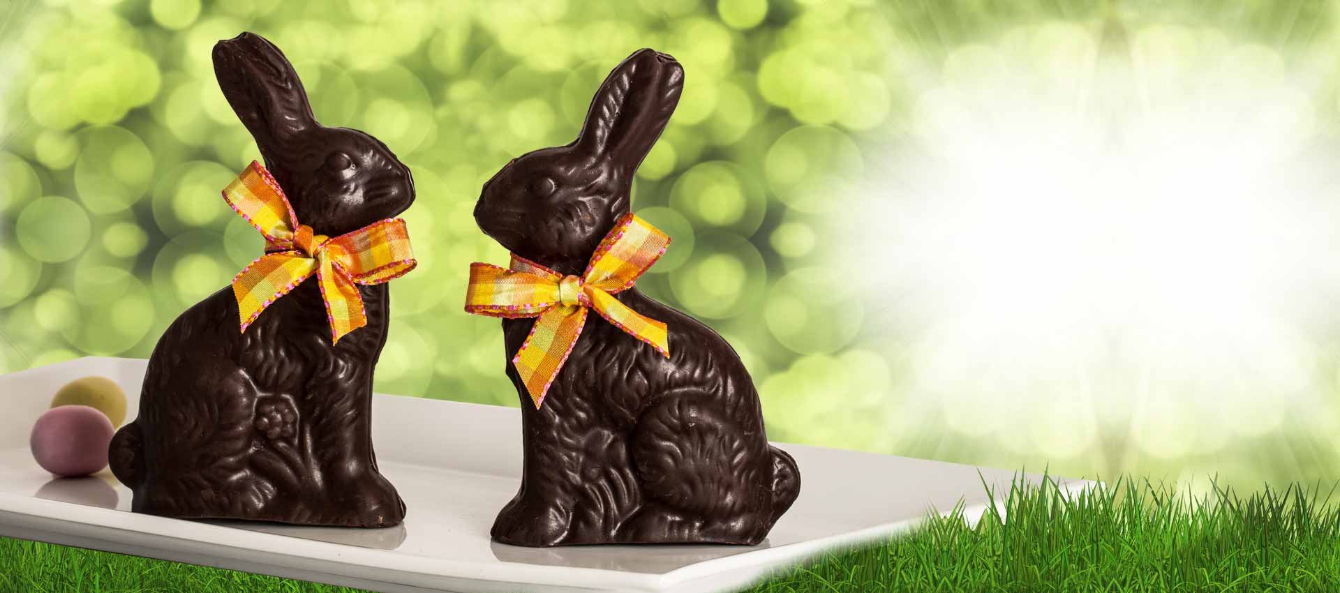 Two chocolate bunnies with festive Easter ribbons sitting on a white platter with speckled eggs and a green grassy background.