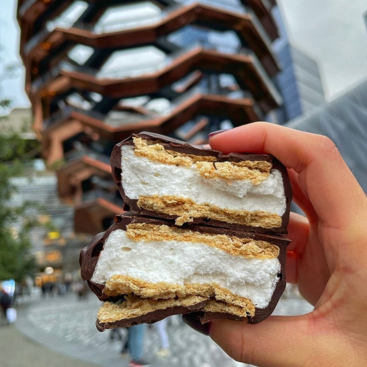 Smore's marshmallow sanwiches