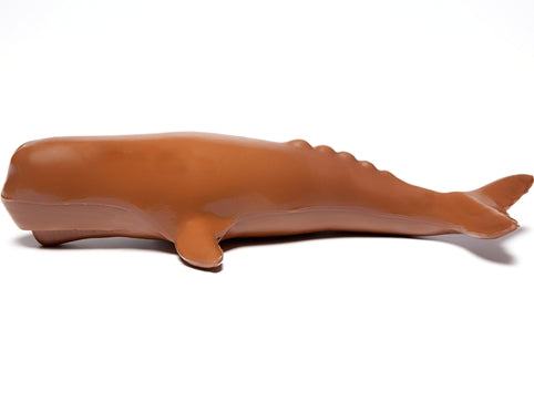 A three-dimensional molded chocolate Sperm Whale.